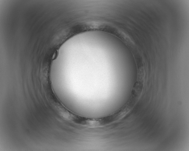 X0000082150509200702021638