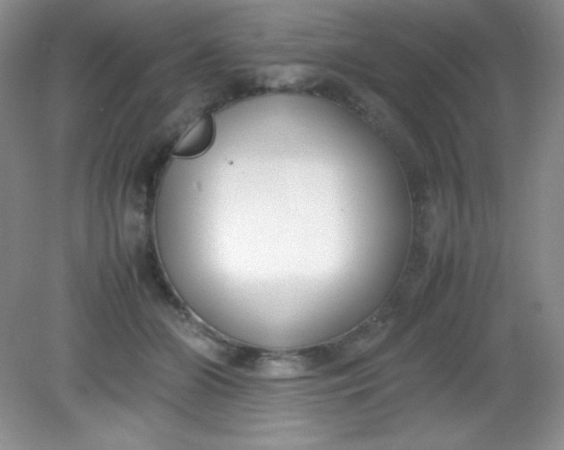 X0000082150510200702021638