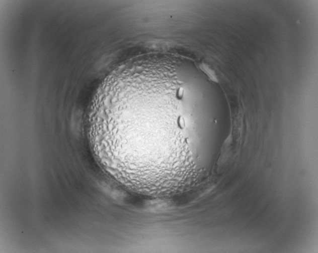 X0000082150511200702021638