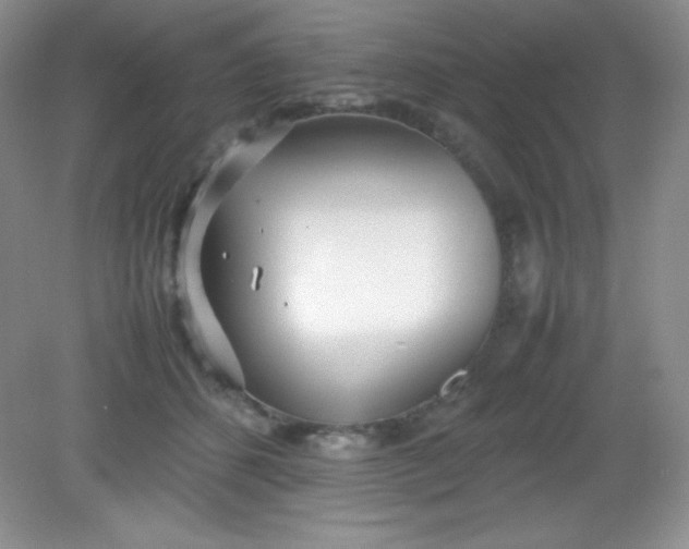 X0000082150512200702021638