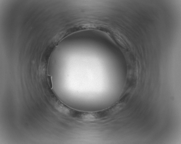 X0000082150513200702021638