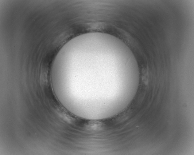 X0000082150514200702021638