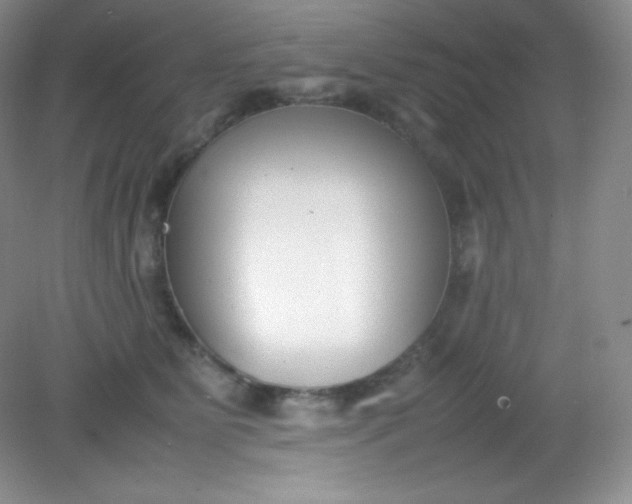 X0000082150515200702021638