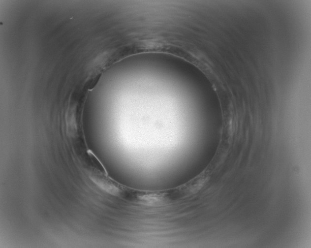 X0000082150516200702021638