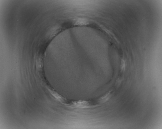 X0000082150517200702021638