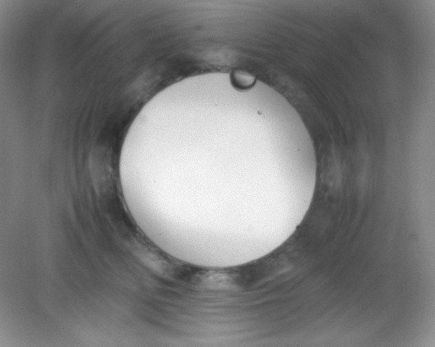 X0000082150518200702021638