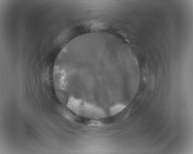 X0000082150519200702021638