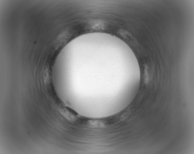 X0000082150520200702021638