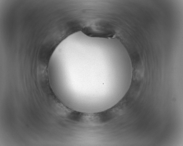 X0000082150521200702021638