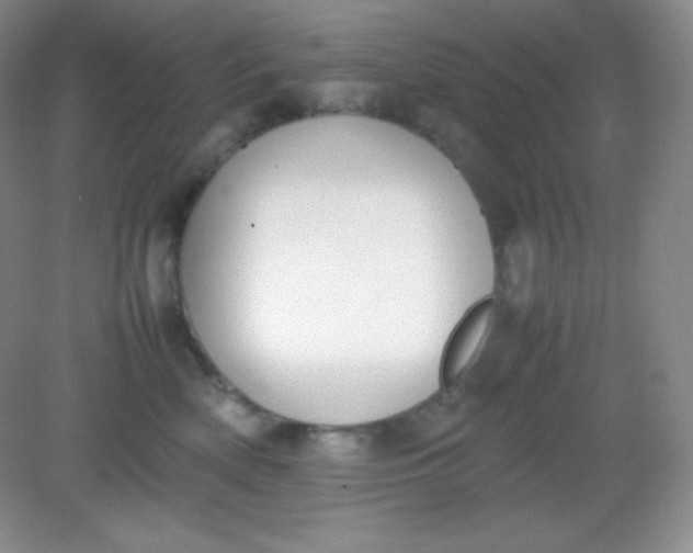 X0000082150522200702021638