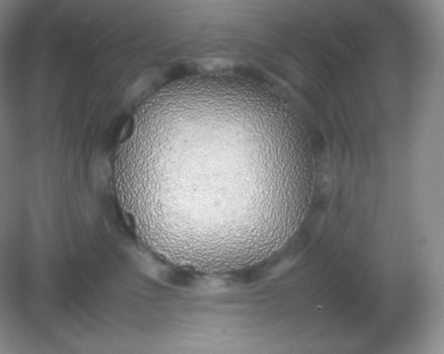 X0000082150523200702021638