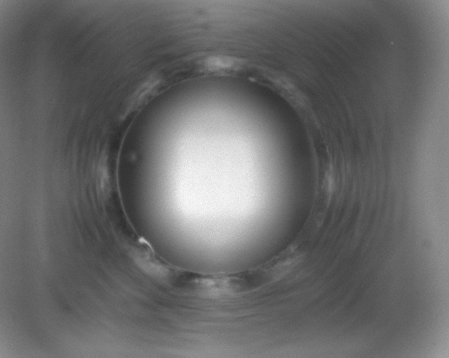 X0000082150524200702021638