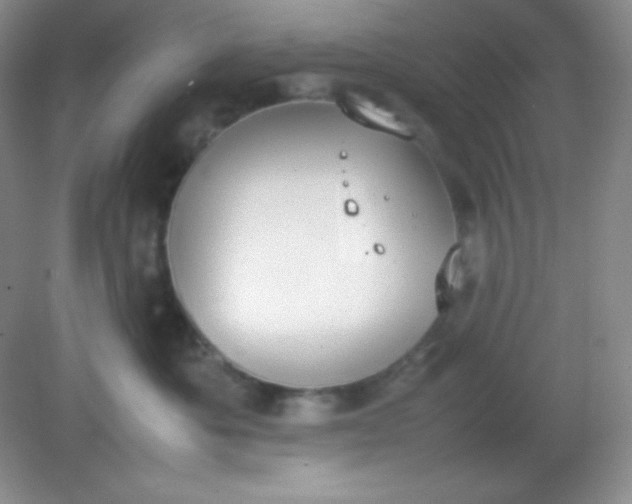 X0000082150525200702021638