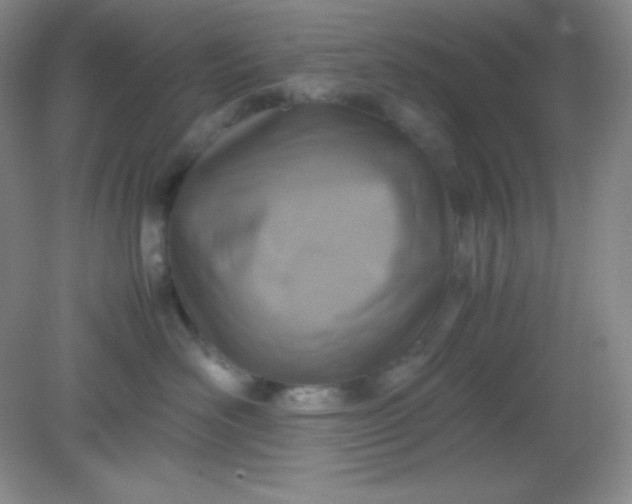 X0000082150526200702021638