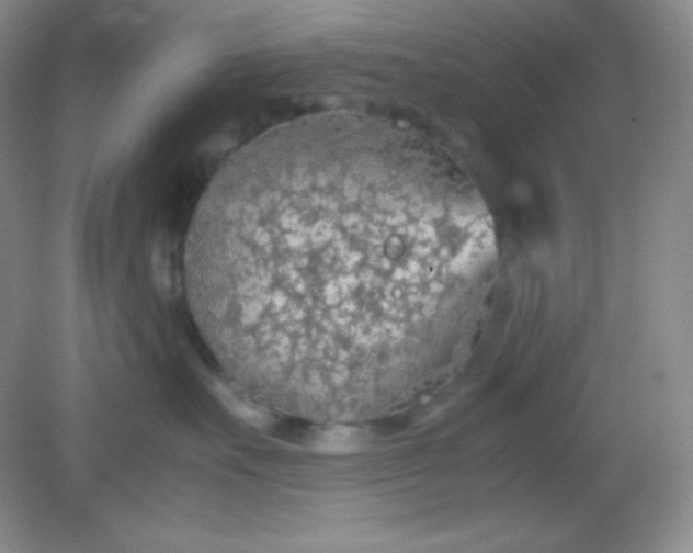 X0000082150527200702021638