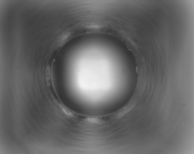 X0000082150528200702021638