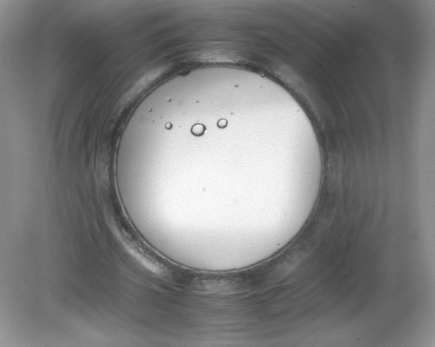 X0000082150533200702021637