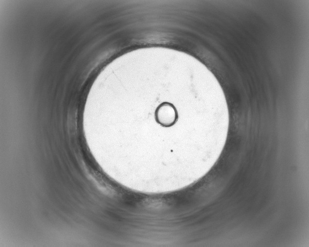 X0000082150534200702021637