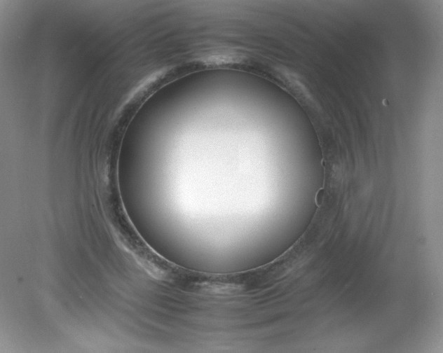 X0000082150539200702021637