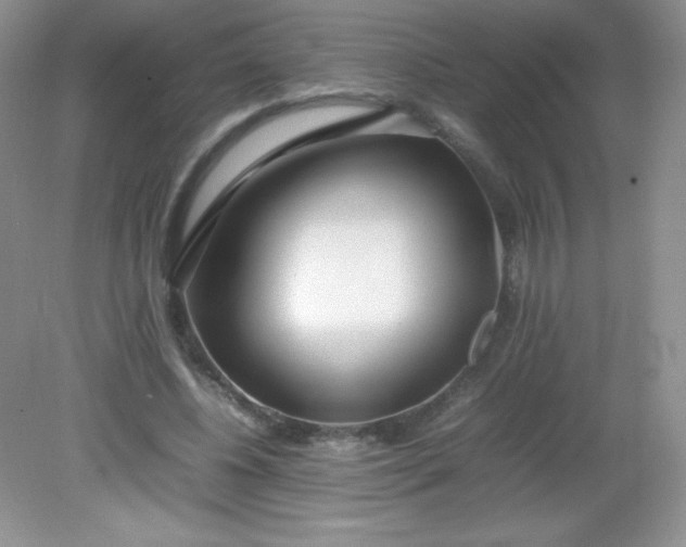 X0000082150540200702021637