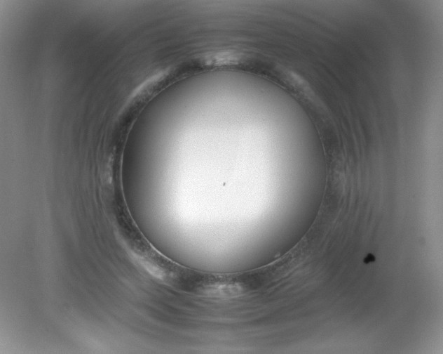 X0000082150543200702021637