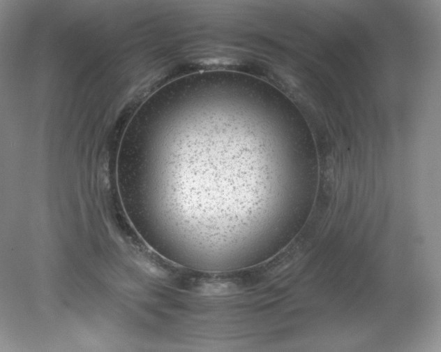 X0000082150547200702021637