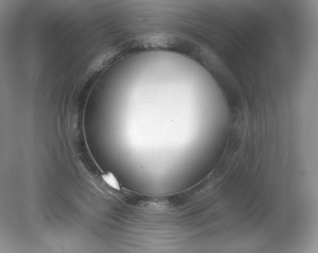 X0000082150548200702021638