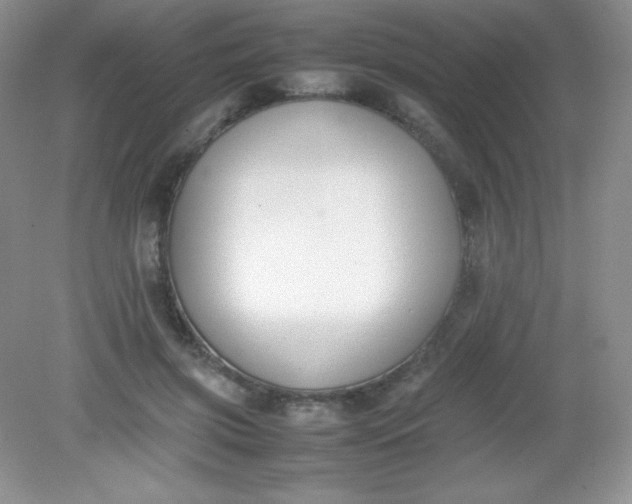 X0000082150549200702021638