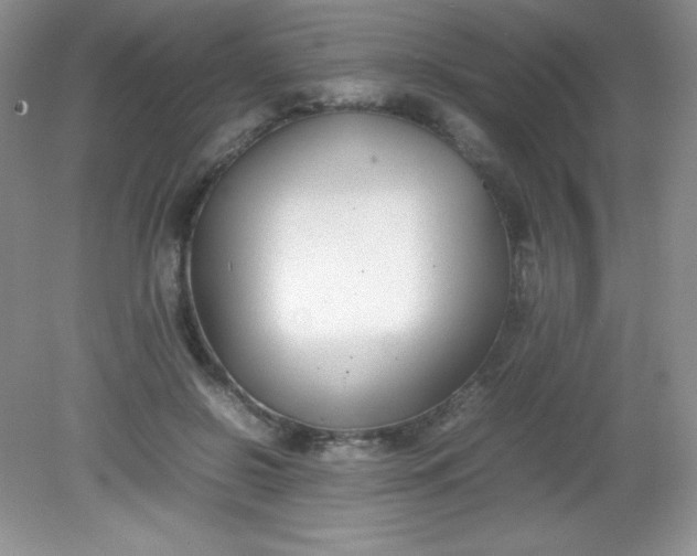 X0000082150550200702021638