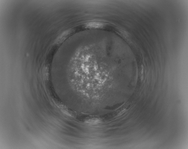 X0000082150551200702021638