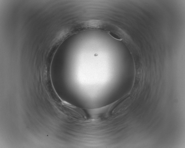 X0000082150552200702021638