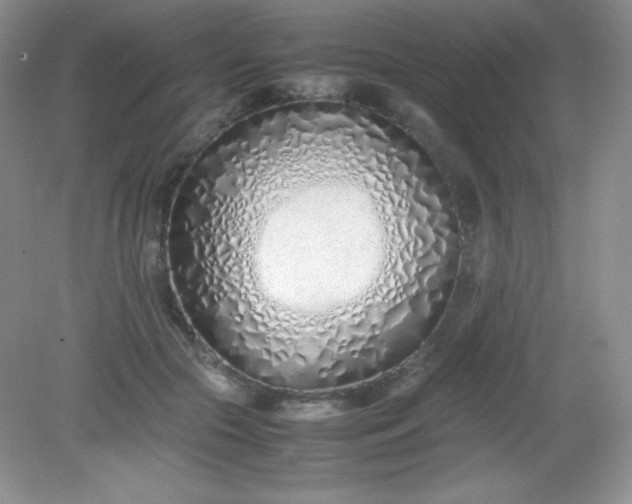 X0000082150553200702021638