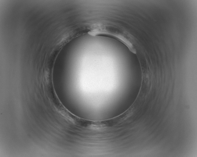 X0000082150556200702021638