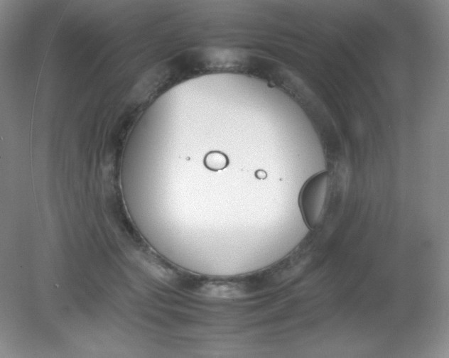 X0000082150557200702021638