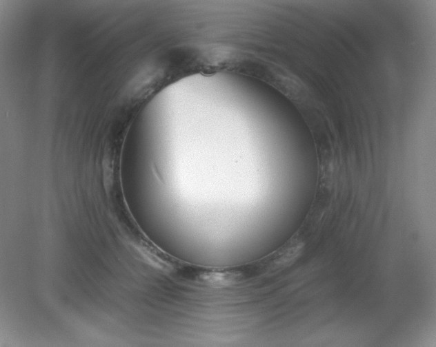 X0000082150558200702021638