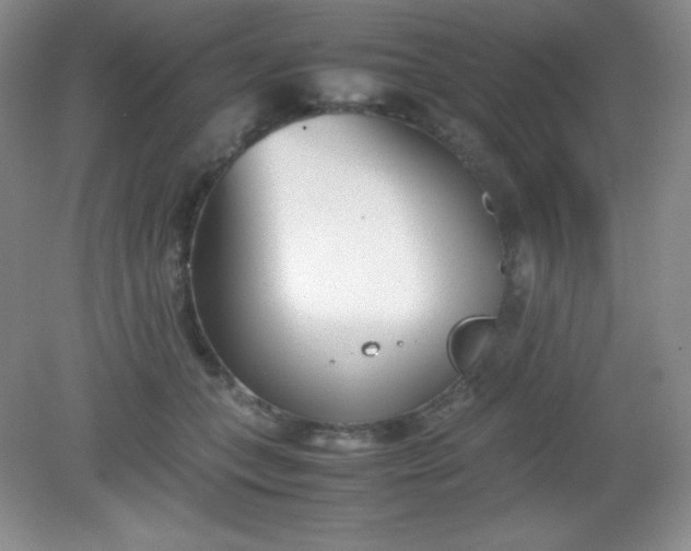 X0000082150559200702021638