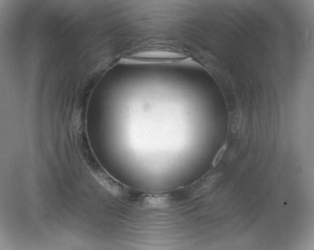 X0000082150560200702021638