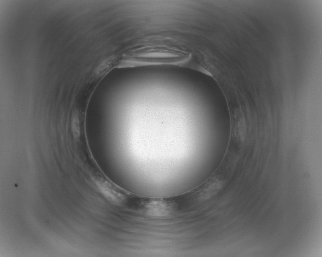 X0000082150562200702021638