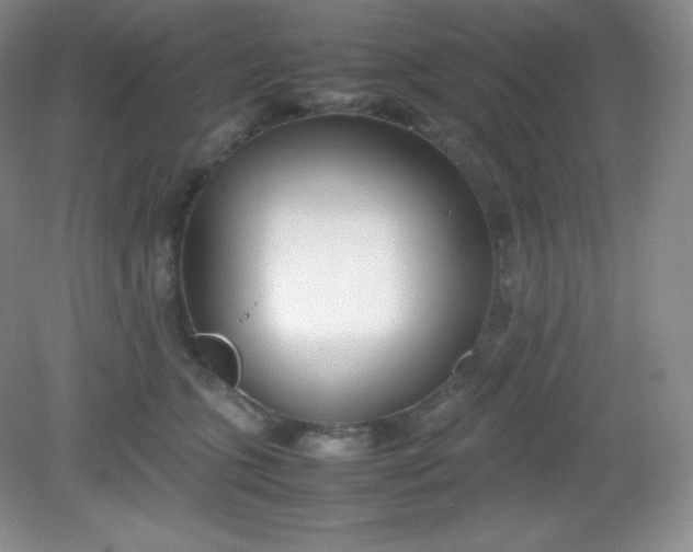 X0000082150563200702021638