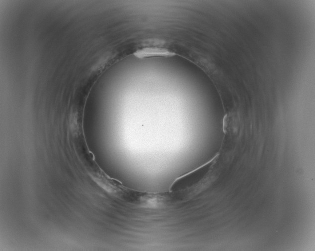 X0000082150564200702021638