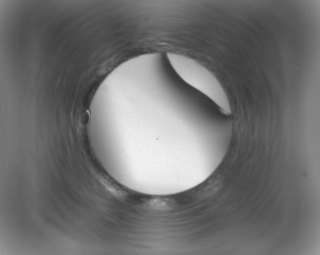 X0000082150566200702021638