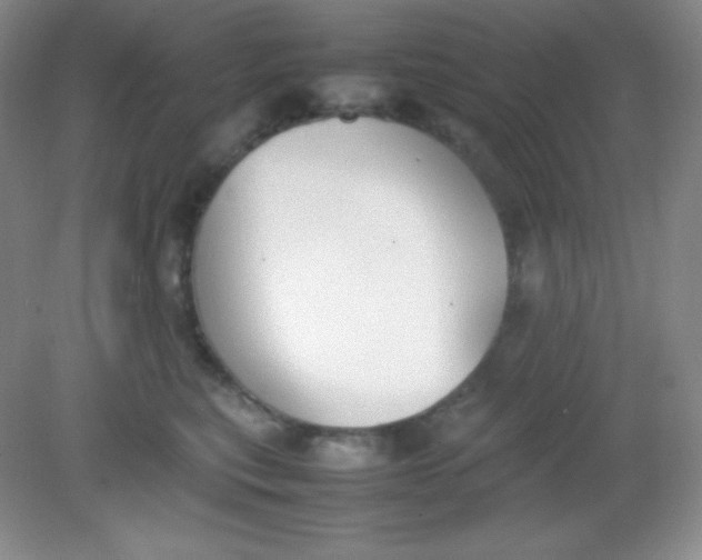 X0000082150567200702021638