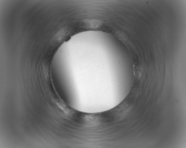 X0000082150568200702021638