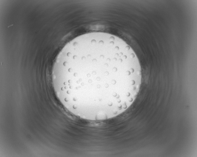 X0000082150569200702021638