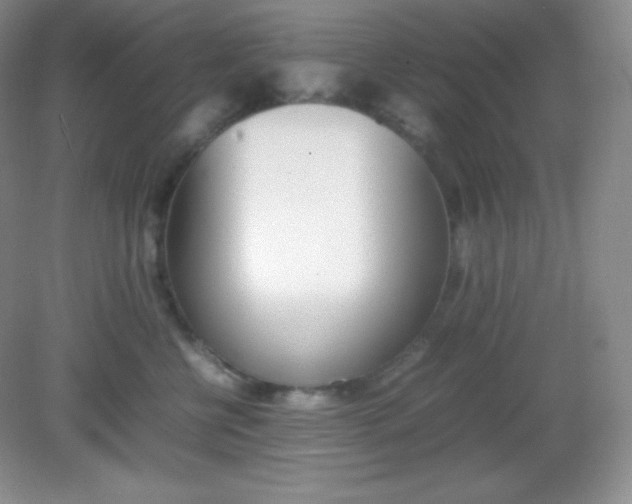 X0000082150570200702021638