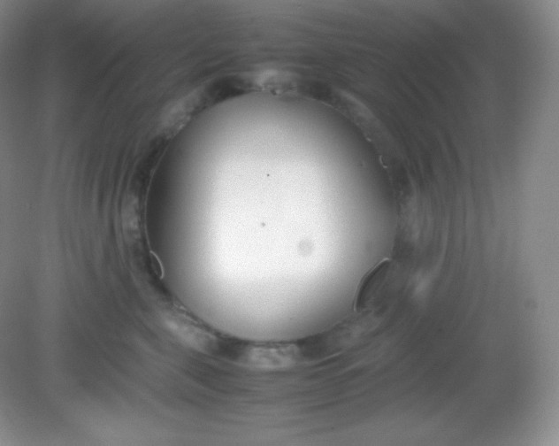 X0000082150571200702021638