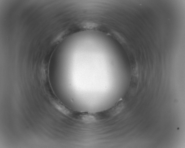 X0000082150572200702021638