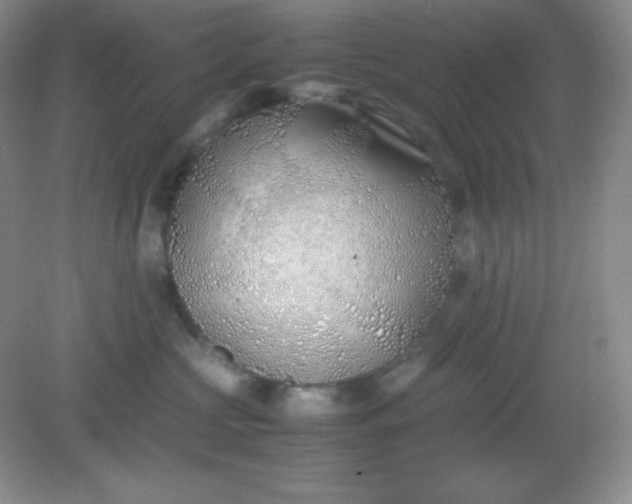 X0000082150573200702021638