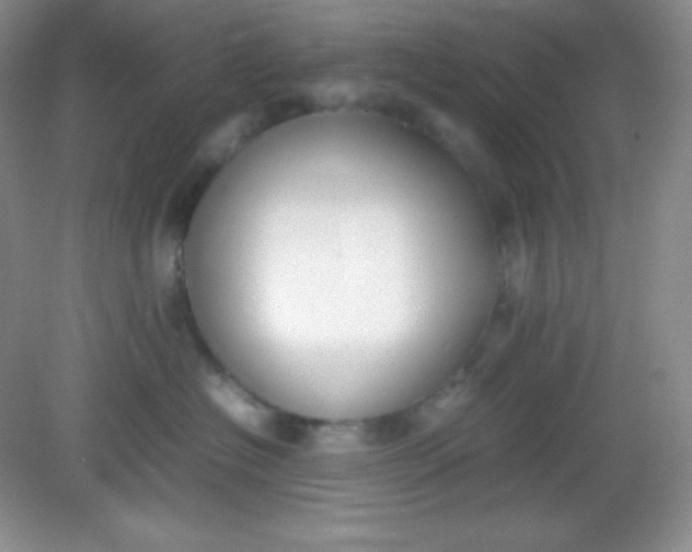 X0000082150574200702021638