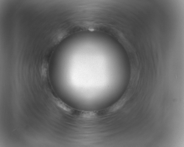 X0000082150576200702021638